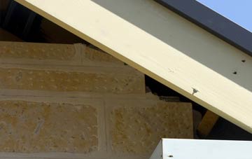 soffit repair Witchford